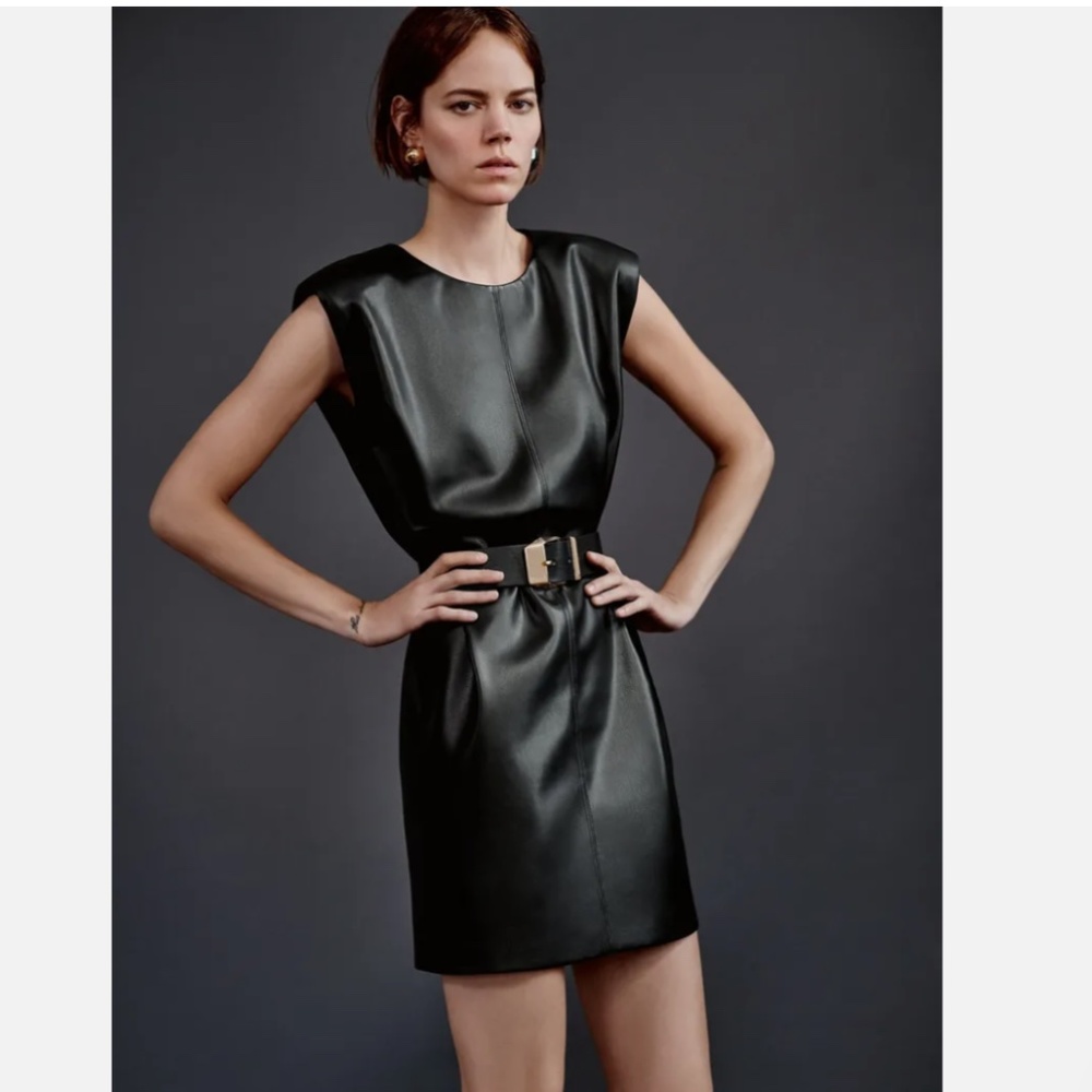 NWT Zara Faux Leather Dress